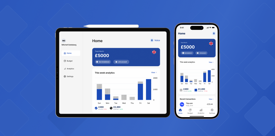 Versal Finance dashboard showing accessible financial interface